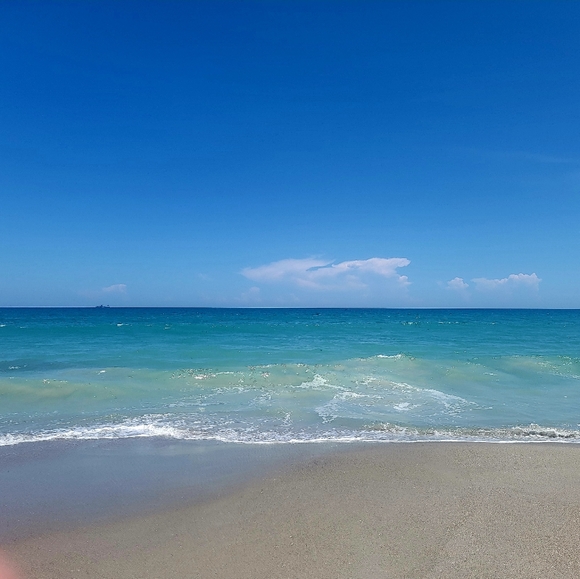 Meet your Posher, Lisa - Picture 4 of 7